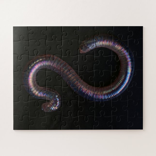Die Wurmsammlung Puzzle (Horizontal)