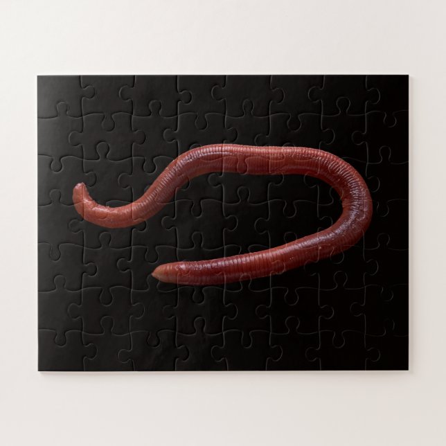 Die Wurmsammlung Puzzle (Horizontal)