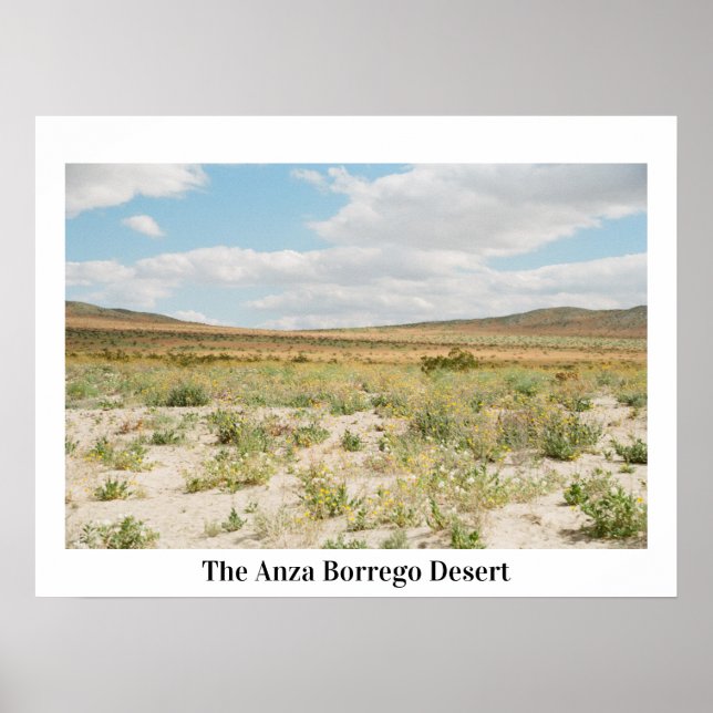 Die Wüste Anza Borrego Poster (Vorne)