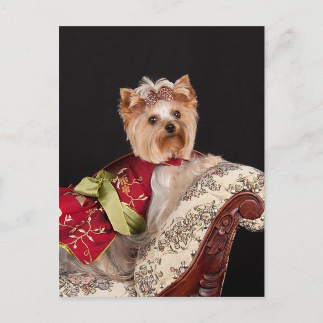 Die Yorkie Queen Postkarte (Vorderseite)