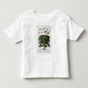 Die Zeder, graviert von Johann Jakob Haid Kleinkind T-shirt