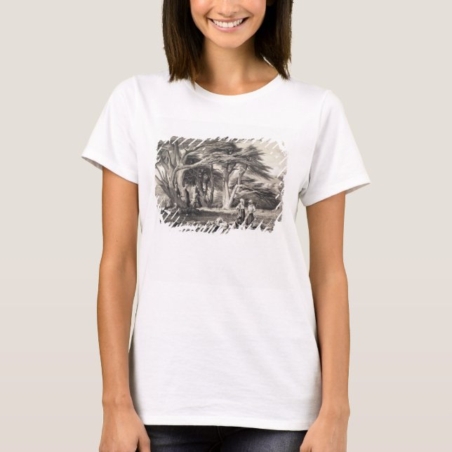 Die Zedern des Libanon, eingraviert von Freeman (s T-Shirt (Vorderseite)