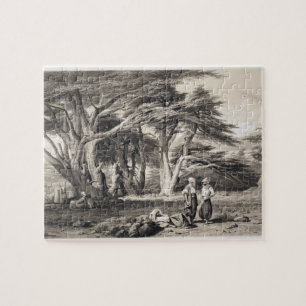 Die Zedern vom Libanon, graviert von Freeman Puzzle