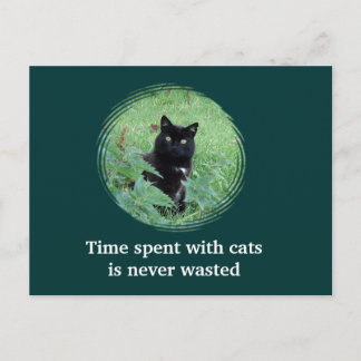 Die Zeit, die mit Katzen verbracht wird, wird niem Postkarte