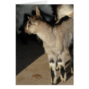 Die Ziegenleere im Innern der Grußkarte belegen