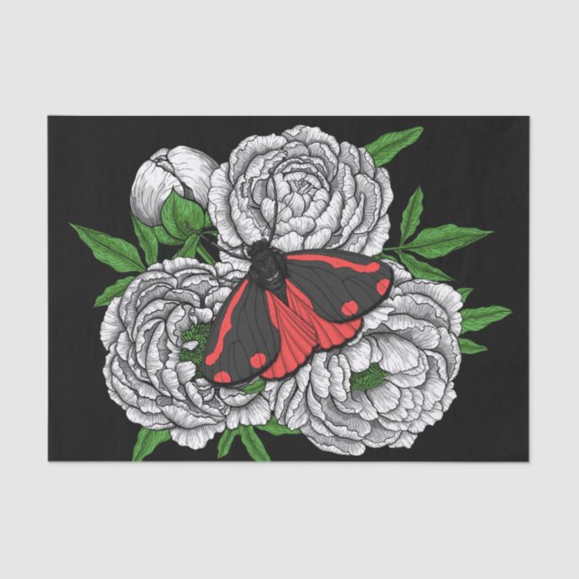 Die Zimtmotte Seidenpapier (Vorderseite)