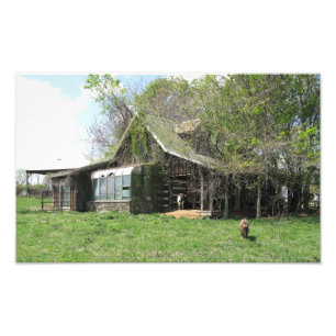 Die Zuhause der alten Ziegen Fotodruck