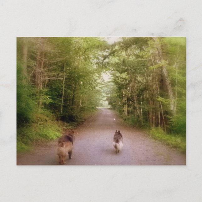 Die Zuhause Postkarte (Vorderseite)