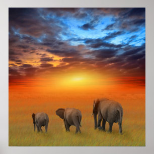 Die Zukunft ist hell Poster