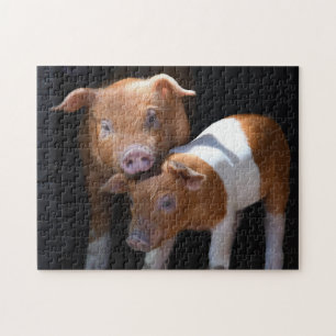 Die zwei Baby-Schweine Puzzle