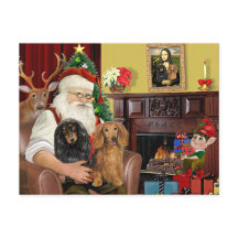 Die zwei langhaarigen Dackeln des Weihnachtsmanns