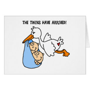 Die Zwillinge sind angekommen