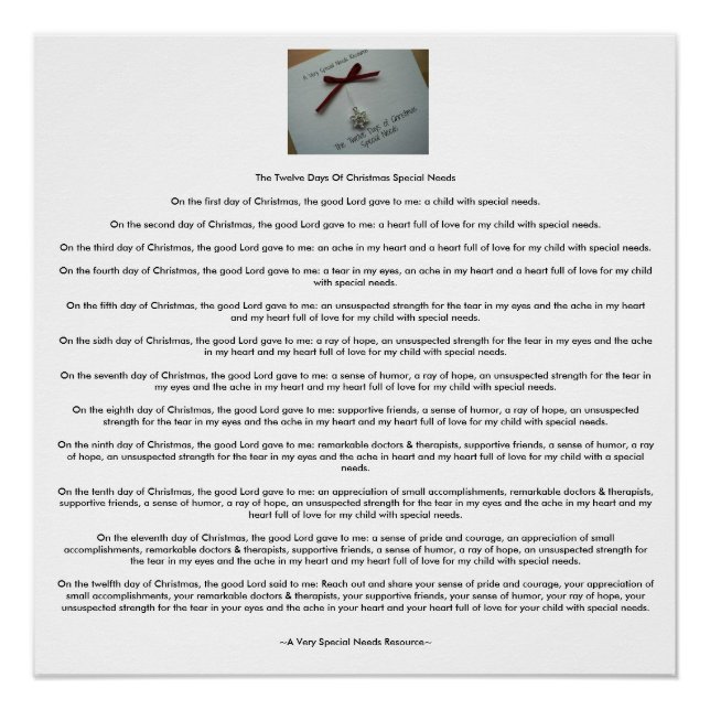 Die Zwölf Tage Weihnachts-Sonderbedarf (AVSNR) Poster (Vorderseite)