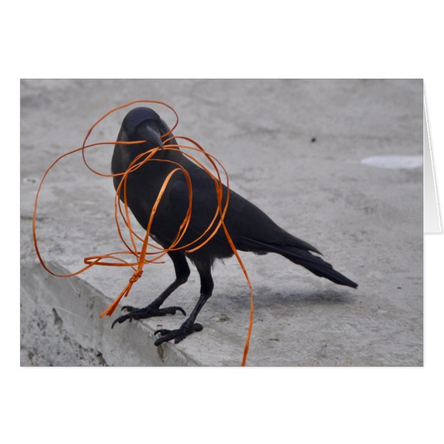 Dieb im Schwarzen (Vorderseite (Horizontal))