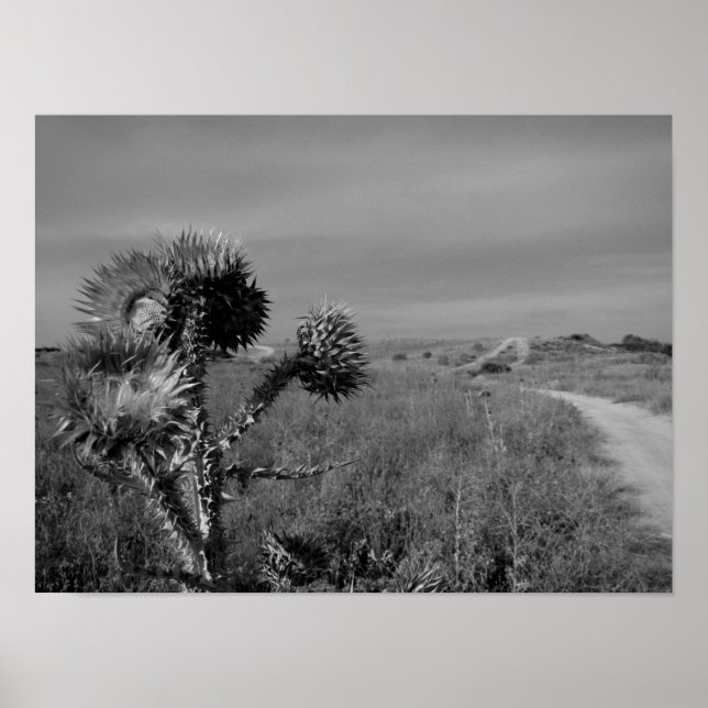 Diebstahl im Sommer von Madrid Poster (Vorne)