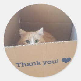 Diego, die Katze danke Ihnen Aufkleber