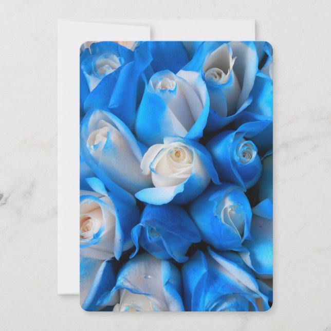 Diemudis (Vorderseite)