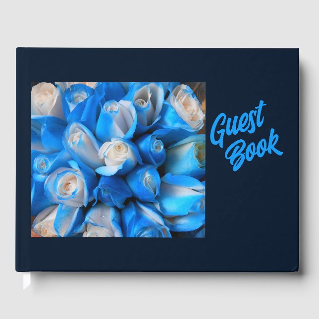 Diemudis Gästebuch (Vorderseite)