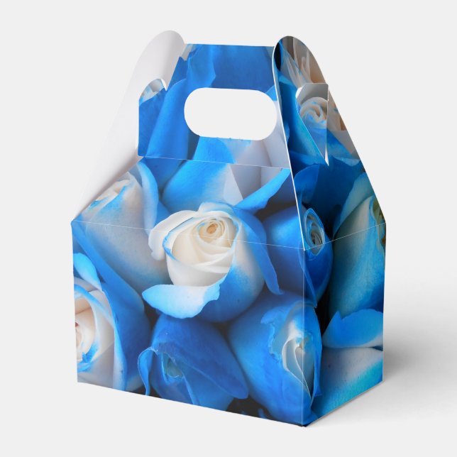 Diemudis Geschenkschachtel (Vorderseite)