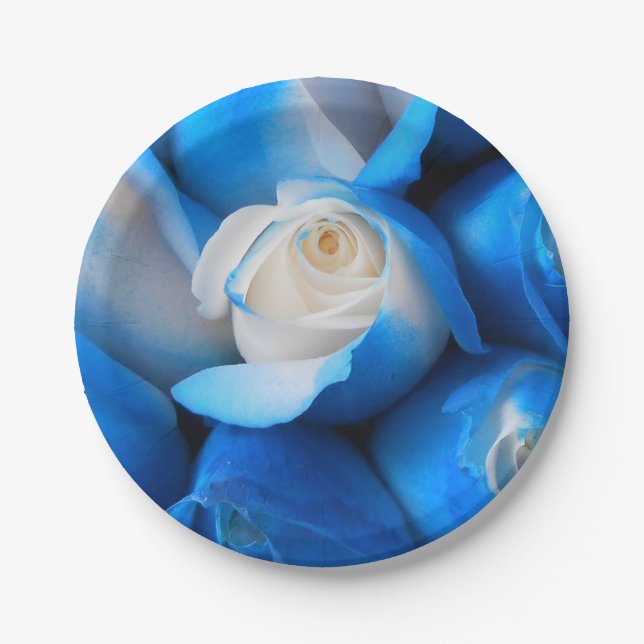 Diemudis Pappteller (Vorderseite)