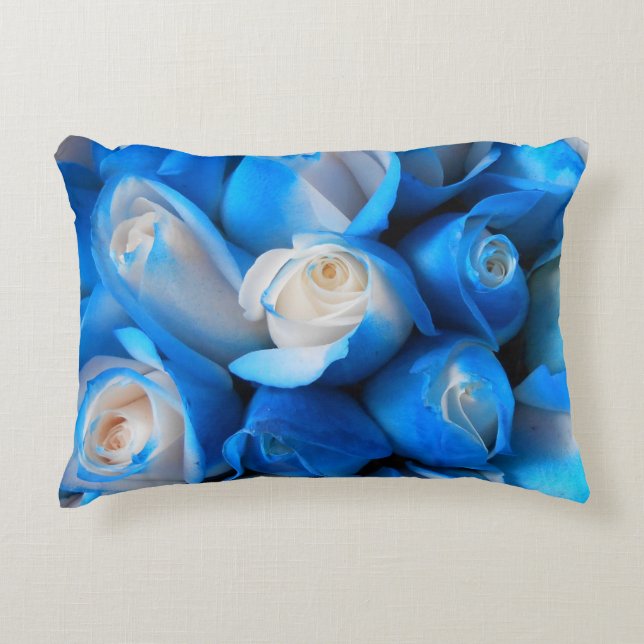 Diemudis Zierkissen (Vorderseite)