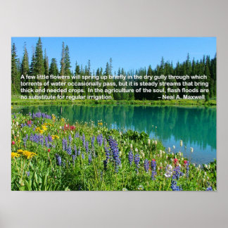 Diene immer weiter poster