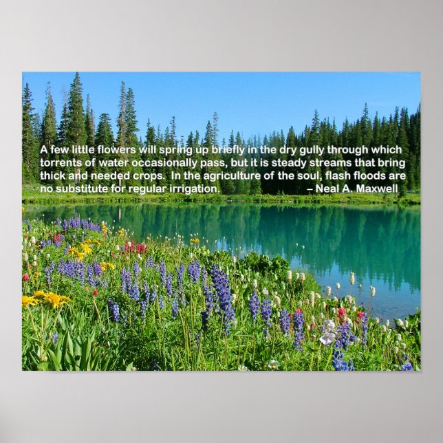 Diene immer weiter poster (Vorne)