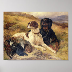 Dienen der Gewehre Poster