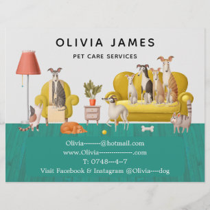 Dienstleistungen der Fußgängerbetreuung und Hausti Flyer