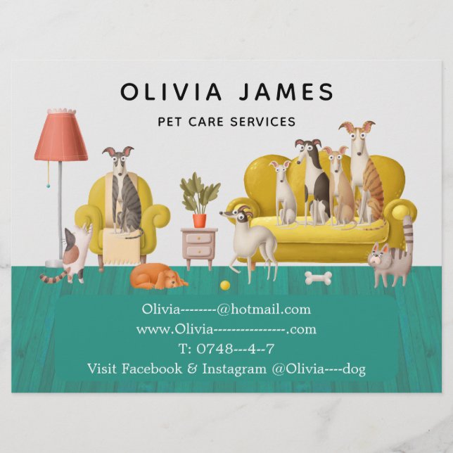 Dienstleistungen der Fußgängerbetreuung und Hausti Flyer (Vorne)