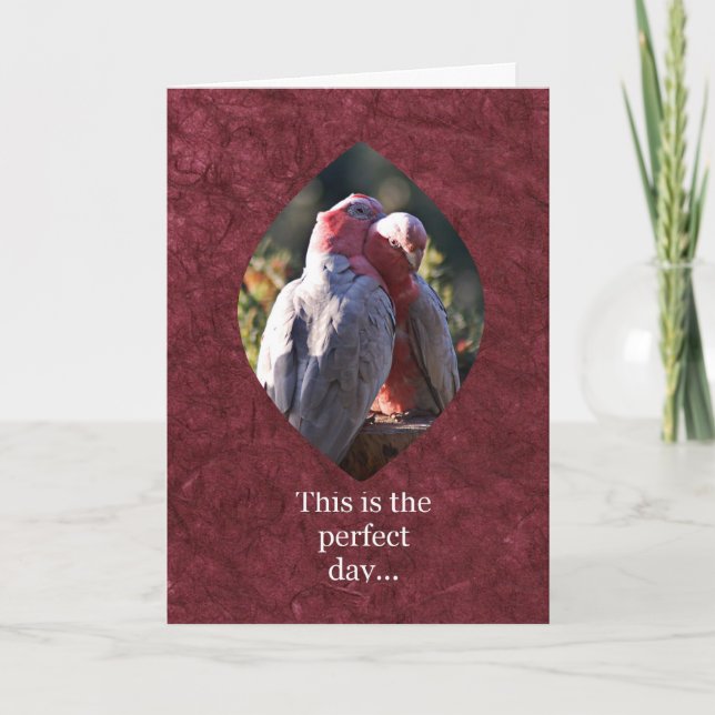 Dies ist der perfekte Tag Feiertagskarte (Vorderseite)