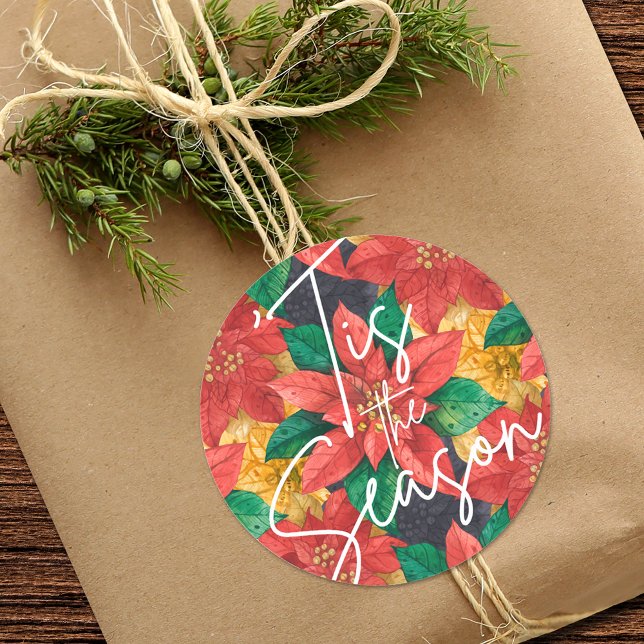 Dies ist die Saison Poinsettia Weihnachtsfeiertag Runder Aufkleber (Von Creator hochgeladen)