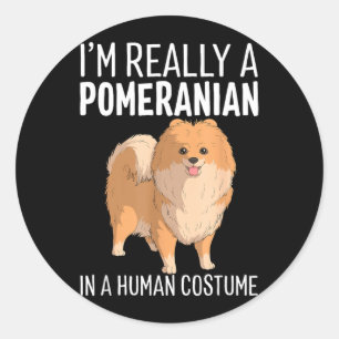 Dies ist ein menschliches Kostüm, ein Pomeranian-H Runder Aufkleber