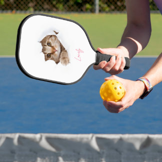 Dies ist ein Pickleball-Schläger und alle Produkte Pickleball Schläger