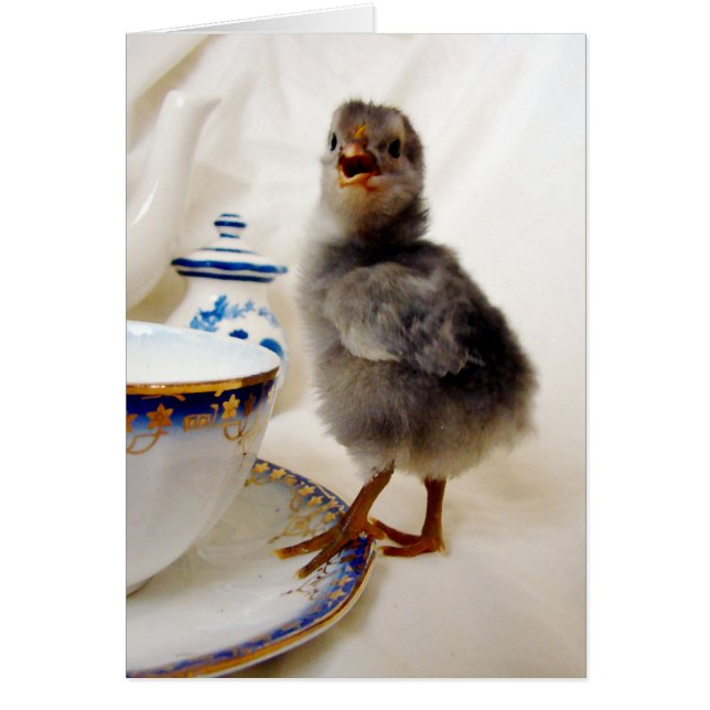 "Dies ist nicht Teil meines Vertrags", sagt das Kü (Vorne)