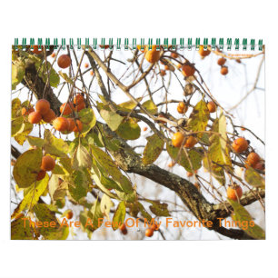 Dies sind ein paar meiner Lieblingsskalender Kalender