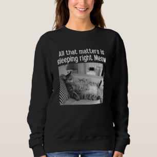 Diese Angelegenheit ist richtig Meow Cat Meme Pet Sweatshirt