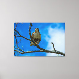 DIESE AUGEN 60 X 40 WRAPPED CANVAS DRUCKEN LEINWANDDRUCK