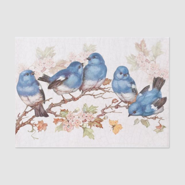 Diese Baby-Blues Seidenpapier (Vorderseite)