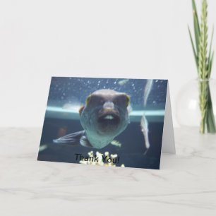 Diese Buckzahn-Fisch-Karte Dankeskarte