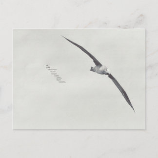 "diese Flügel" Postkarte
