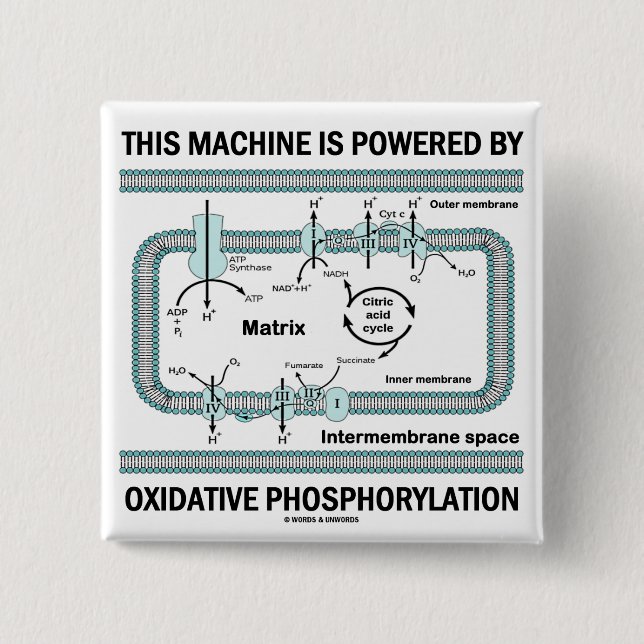Diese Maschine angetrieben durch oxydierende Button (Vorderseite)