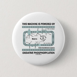 Diese Maschine wird durch oxidative Phosphorylieru Button
