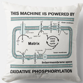Diese Maschine wird durch oxidative Phosphorylieru Kissen