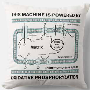 Diese Maschine wird durch oxidative Phosphorylieru Kissen