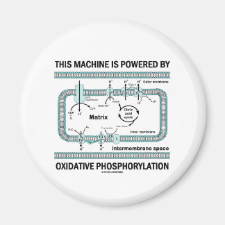 Diese Maschine wird durch oxidative Phosphorylieru Magnet