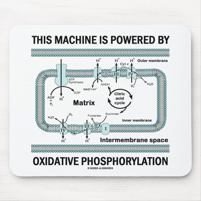 Diese Maschine wird durch oxidative Phosphorylieru Mousepad (Vorne)