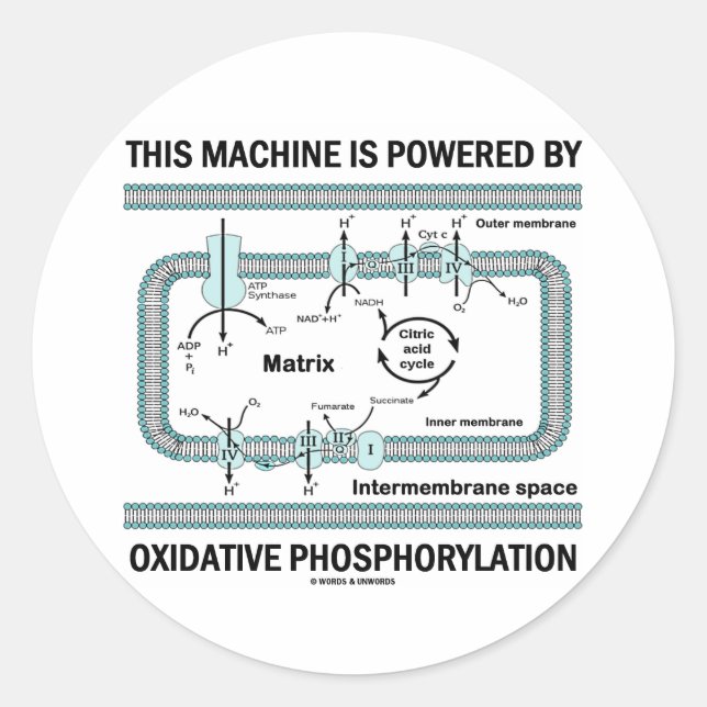 Diese Maschine wird durch oxidative Phosphorylieru Runder Aufkleber (Vorderseite)