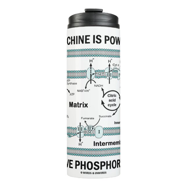 Diese Maschine wird durch oxidative Phosphorylieru Thermosbecher (Vorderseite)