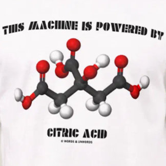 Diese Maschine wird durch Zitronensäuren-Chemie T-Shirt